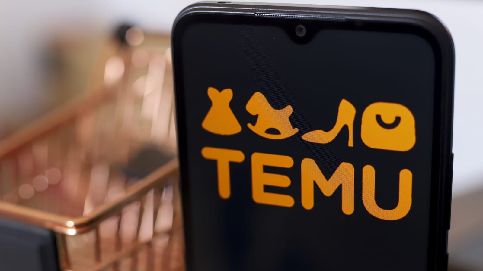 Hoe de Temu-app transparantie biedt over invoerrechten